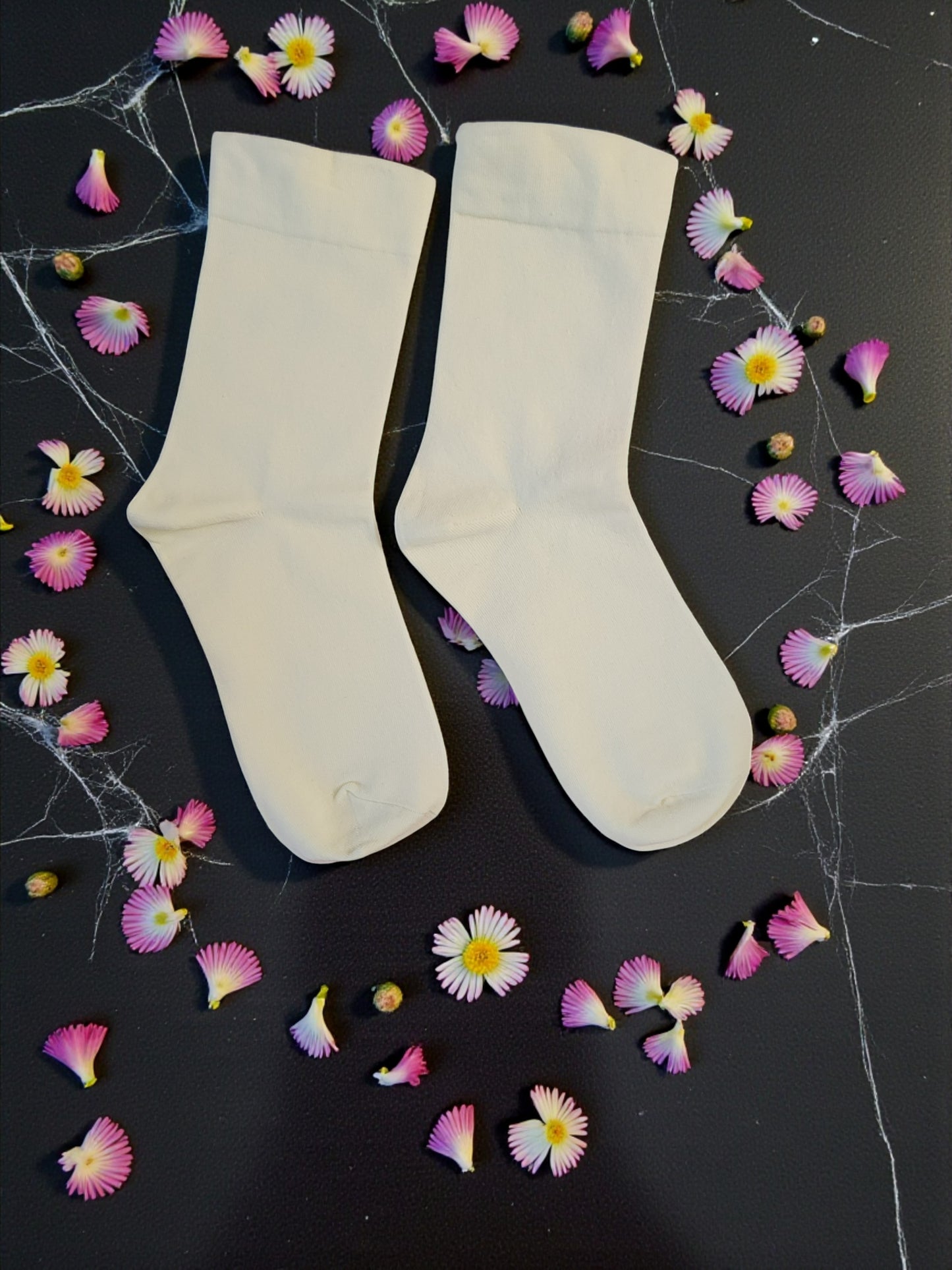 Women's Classic Cotton Crew Sock 8 Pack